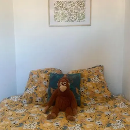 Proche Des Plages Apartment